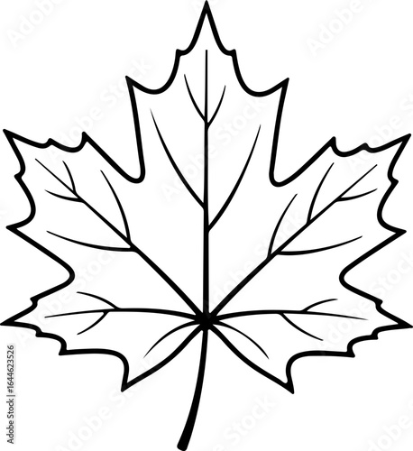 A detailed black and white outline of a maple leaf with prominent veins and distinct lobes is shown here