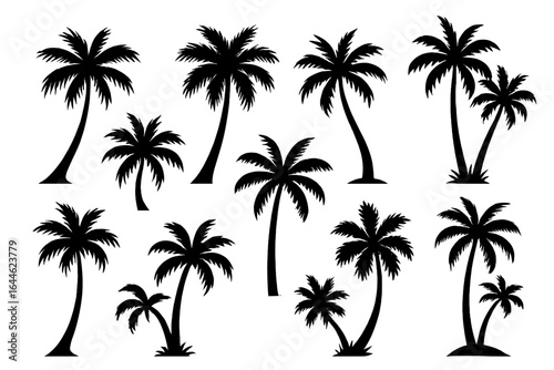 Palm tree silhouettes vector set. Tropical coconut palms collection for summer beach design. Exotic island tree logo element. Black plant silhouette bundle for vacation travel.