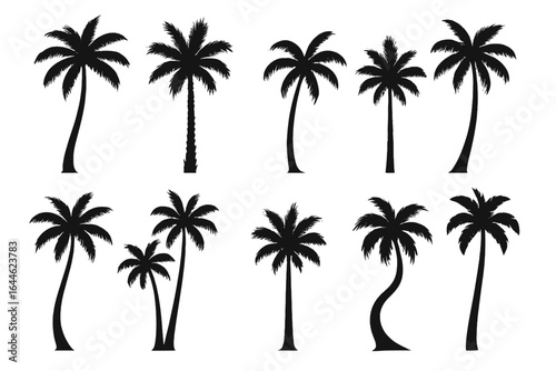 Palm tree silhouettes vector set. Collection of black tropical coconut trees. Isolated exotic island plant icons for summer vacation, beach travel and nature design elements.
