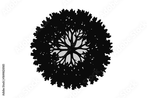 Tree Top View Silhouette Vector Illustration, Detailed Oak Tree Crown, Nature Canopy Overhead, Isolated Transparent Background, Forest Element, Botanical Art