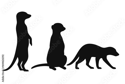 Meerkat vector silhouette illustration set. Collection of standing, sitting, and walking suricate poses. African wildlife mammal from Kalahari desert on guard. Animal icon.