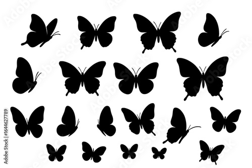 Butterfly silhouette collection. Big set of black flying butterflies icons. Vector graphic shapes of insects for logo design. Various forms of monarch, swallowtail moths.