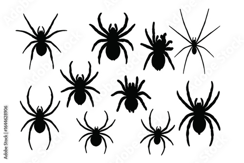 Spider silhouettes vector collection. Set of various scary spider species and poses. Creepy arachnid icons for Halloween design. Black insect illustration on white background.
