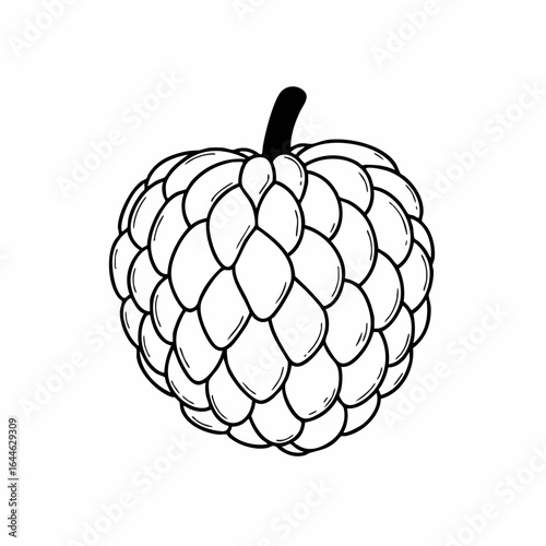 Detailed Black and White Illustration of a Sugar Apple Fruit