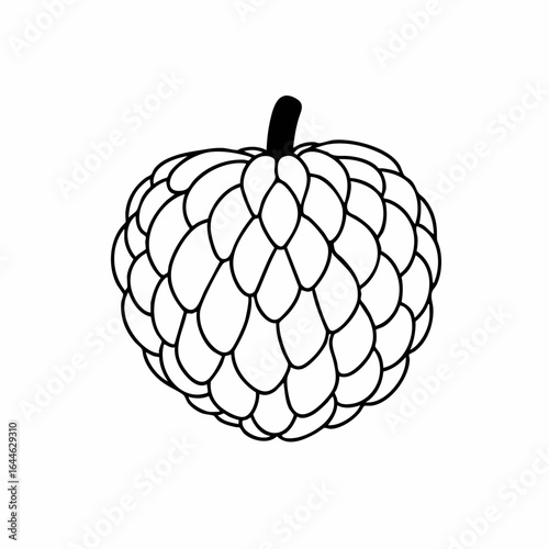 Detailed Sugar Apple Illustration with Scaly Texture and Short Stem