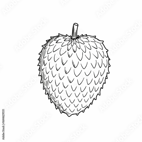Hand-drawn Soursop Illustration: Detailed Black and White Annona Muricata Sketch