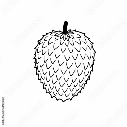 Detailed Black and White Illustration of a Soursop Fruit