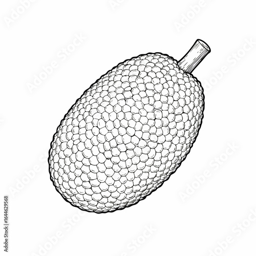 Detailed Jackfruit Illustration with Intricate Surface Texture and Short Stem