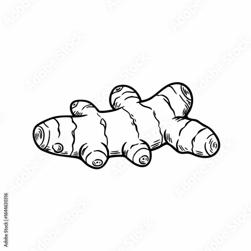 Detailed Black and White Illustration of Fresh Ginger Root