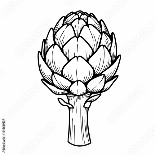 Detailed Black and White Artichoke Illustration with Stem and Leaves