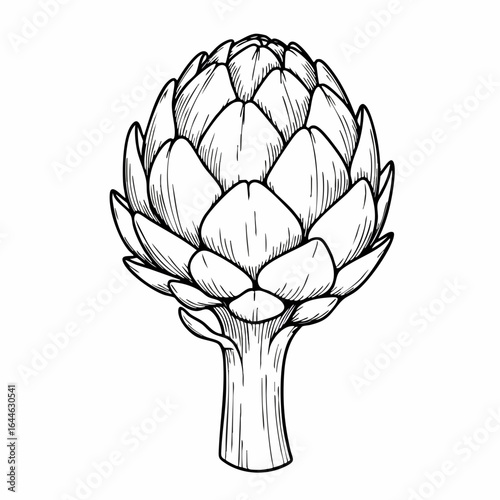 Detailed Line Art Illustration of a Single Artichoke with Stem