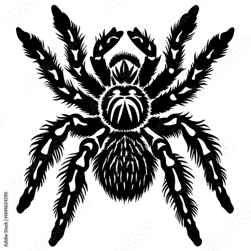 Dramatic black silhouette of a hairy tarantula spider with menacing stance, perfect for Halloween or horror themes