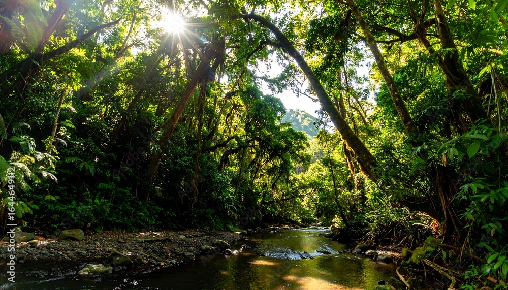 Obraz premium Tropical forest stream scene