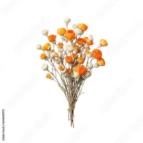Dried flower bouquet in orange and white, tied together at the base, small round blooms
