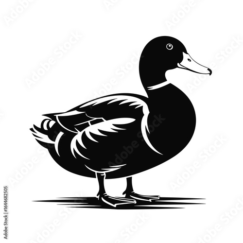 Vector illustration of Black silhouette of a mallard duck standing on a white background bird waterfowl
