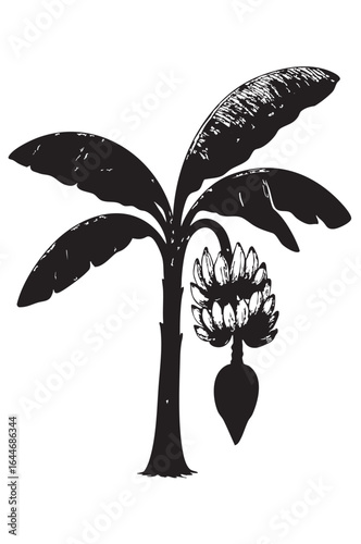 Banana Tree with Ripe Fruits