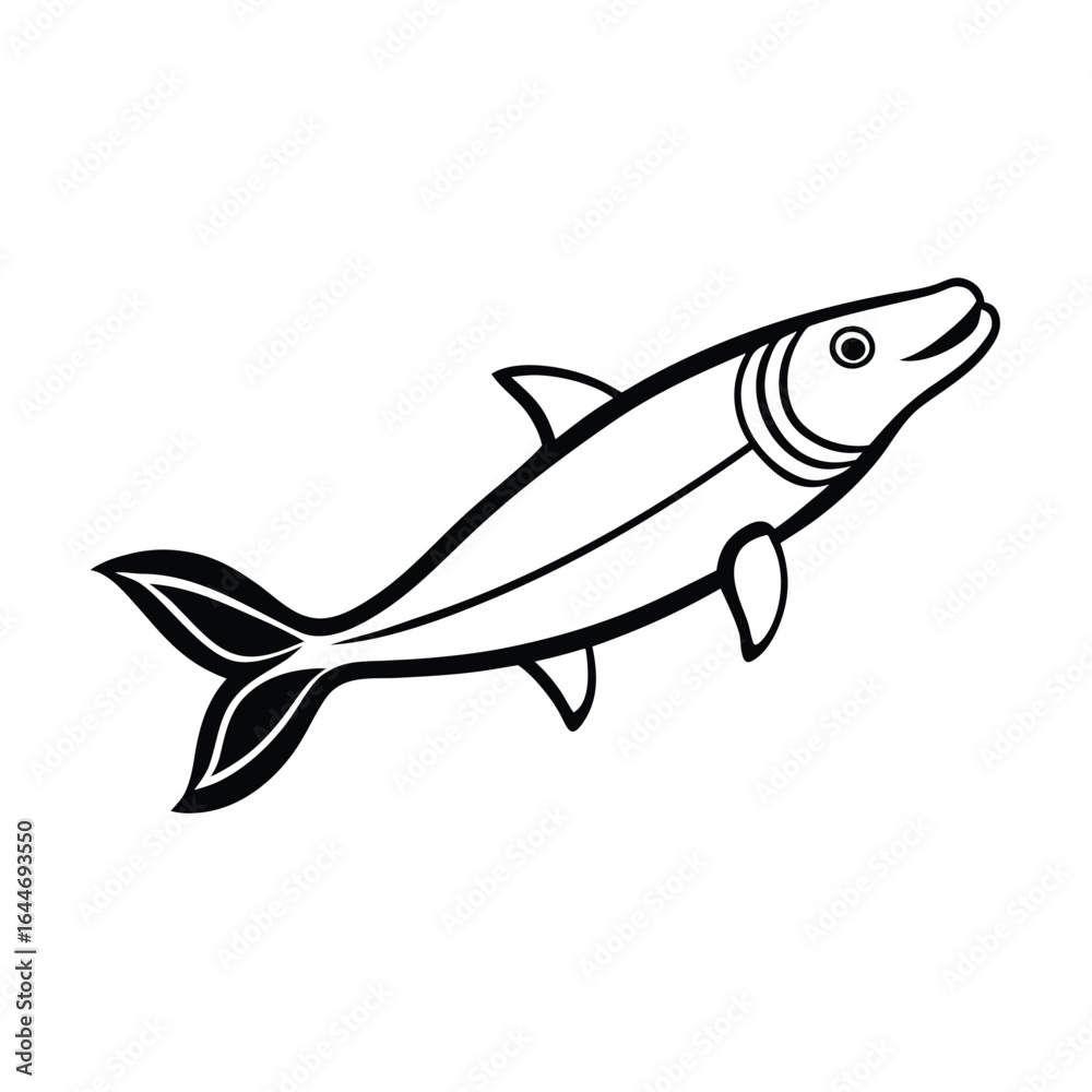 Fototapeta premium stylized vector line drawing of a clown knifefish.eps