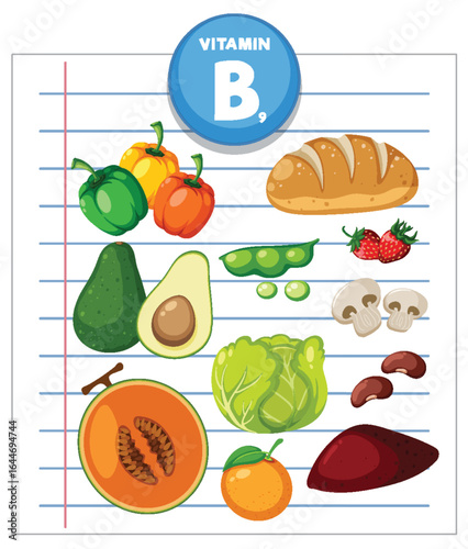Vitamin B9 Rich Foods Vector Illustration on Paper Background