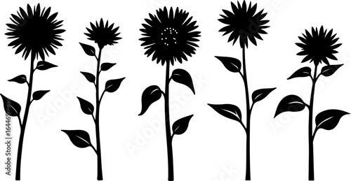 Sunflower Silhouettes – Elegant Floral Vector Set