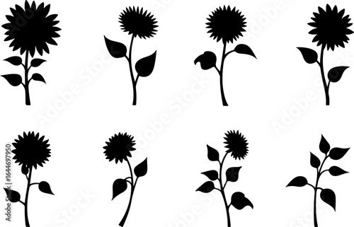Sunflower Silhouettes – Elegant Floral Vector Set