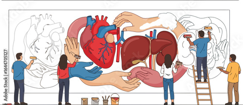 Illustration of Human Heart Anatomy With Multiple Perspectives and Educational Details
