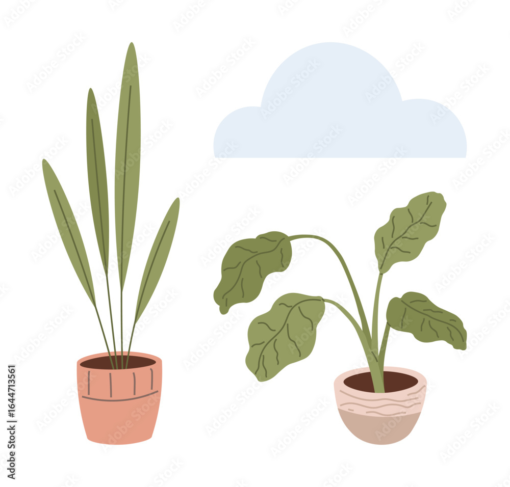 Obraz premium Two potted indoor plants with minimalist design one with tall grass, the other with broad leaves. Ideal for nature, simplicity, home decor, wellness, gardening, lifestyle, eco-friendly themes