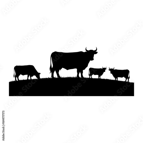 Black silhouettes of cows grazing and standing on a grassy hill