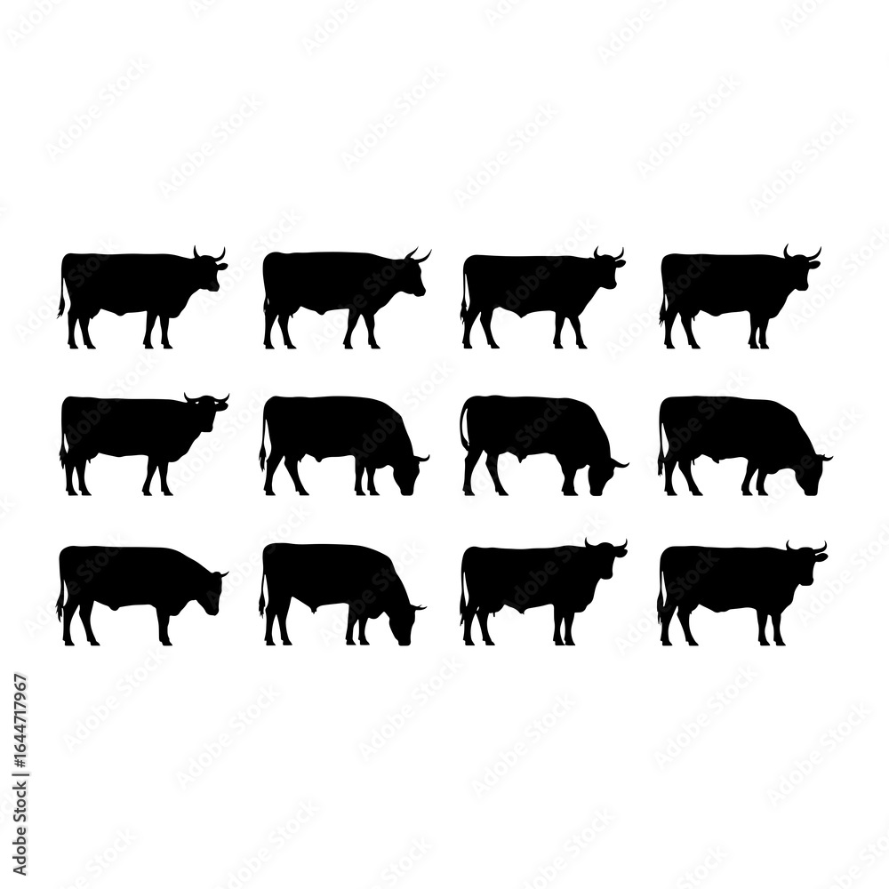 Fototapeta premium Cattle silhouettes in various poses cows bulls