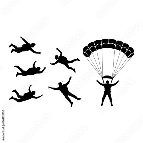 Skydivers in freefall and parachute descent skydiving