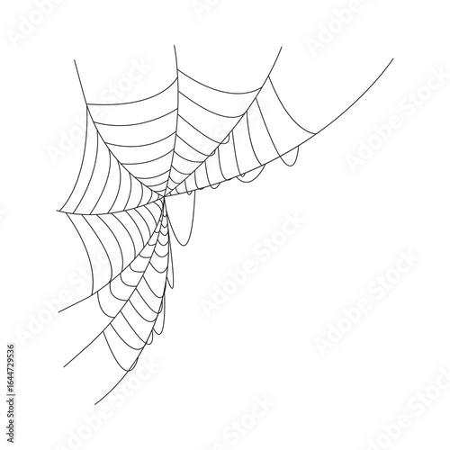 spider and web  silhouette isolated on transparent background