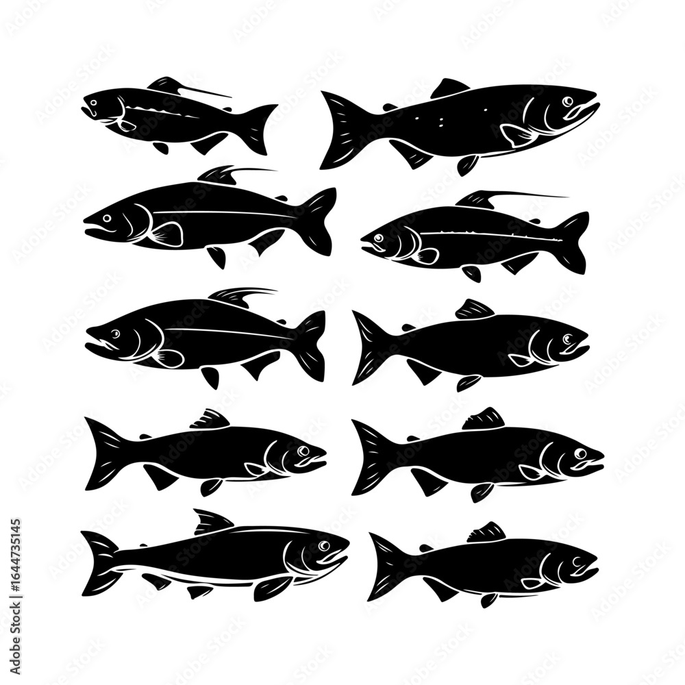 Fototapeta premium Salmon Fish Silhouettes Set Clipart on White Background