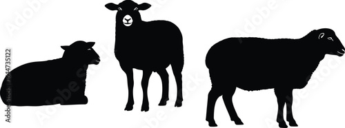 Silhouettes of three sheep in different poses on white background