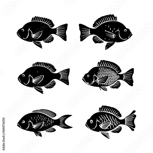 Tilapia Fish Silhouettes Clipart on White Background