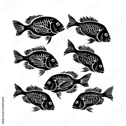 Tilapia Fish Silhouettes Set Clipart on White Background