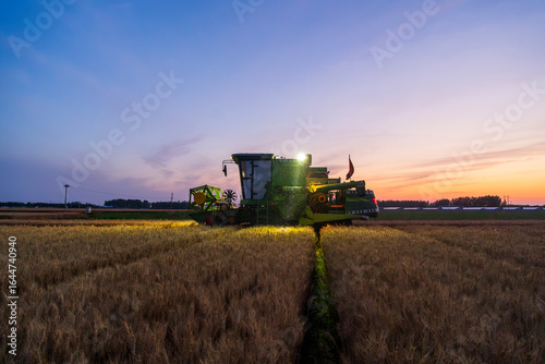 The combine is harvesting the wheat in the evening