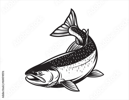 Illustration of Sockeye Salmon in Black and White Vector
