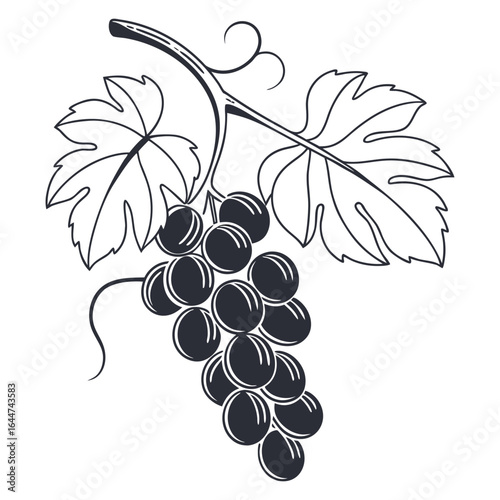 Grape cluster silhouette for wine and fruit branding