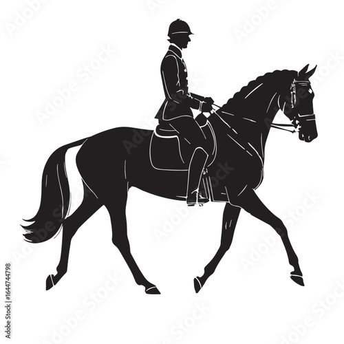 black equestrian Silhouette Vector, High Quality Illustration on White Background
