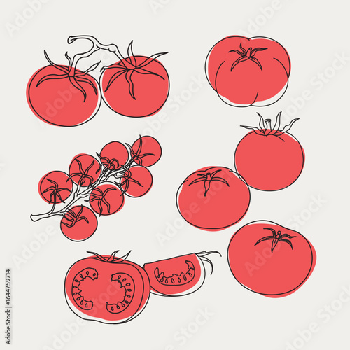 Tomato vegetables set. Cartoon various types of tomatoes. Retro outline style food , agriculture harvest and culinary. Vector illustrations.