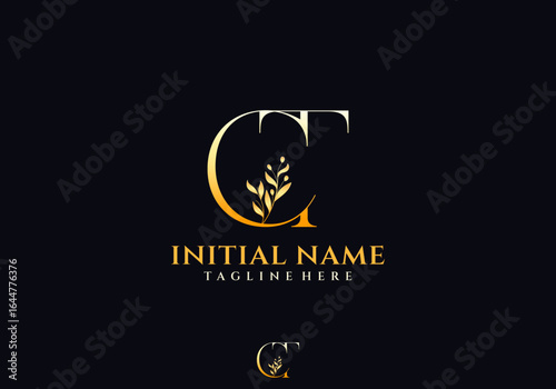 Letter CT or TC Beauty Logo with Flourish Ornament Luxury, Suitable for any Business with Initials
