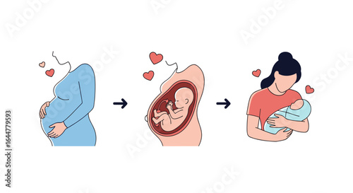 Understanding the journey of pregnancy fetal development and postnatal care for new mothers and babies