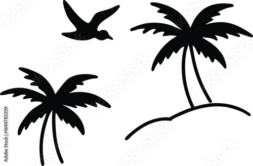 silhouette of palm tree