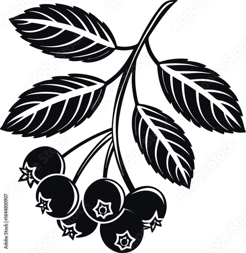 Clean black silhouette of a huckleberry cluster