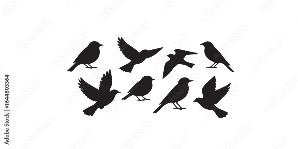 Fototapeta premium Print Set of black bird silhouettes. Vector elements for design.