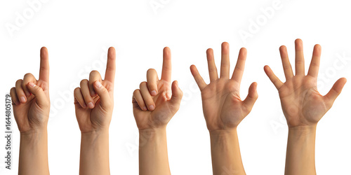 Human hands counting from one to five with raised fingers

