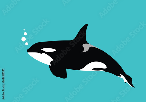 A stylized illustration of a killer whale swimming underwater and blowing bubbles.