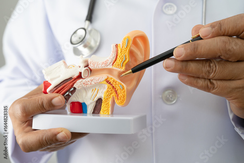 Foto Asian doctor holding human ear model to learn and treat hearing loss in patient