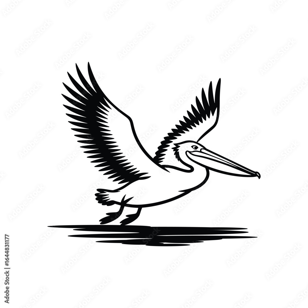 Obraz premium Pelican in flight with wings spread and long beak bird flying