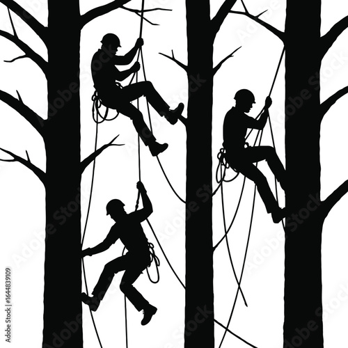 silhouette of people climbing trees with ropes and harnesses 