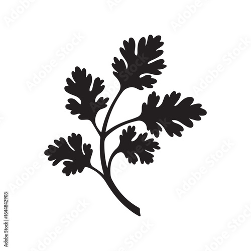 Fresh Parsley Herb Leaves Silhouette Icon - Aromatic Culinary Spice Vector